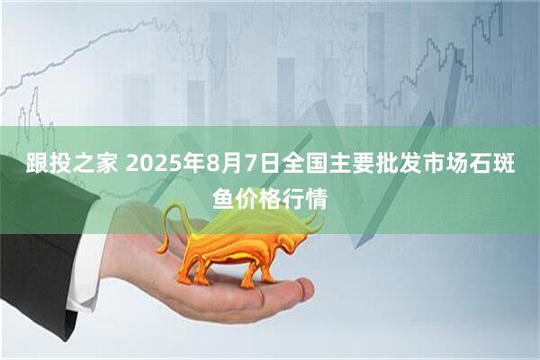 跟投之家 2025年8月7日全国主要批发市场石斑鱼价格行情